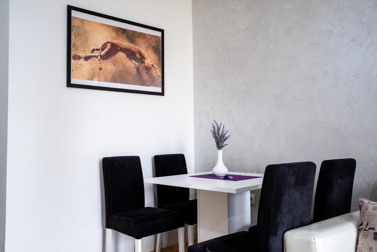 Ferienwohnung Apartman Black Star Novi Sad Exterior foto